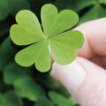 metodi per incrementare fortuna
