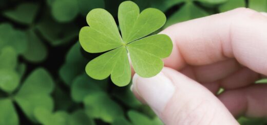 metodi per incrementare fortuna